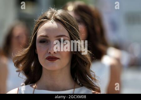 Gittertes Mädchen. Großer Preis von Aserbaidschan, Samstag, 24. Juni 2017. Baku City Circuit, Aserbaidschan. Stockfoto