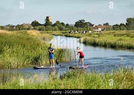 Paddelboarder auf dem River Parrett und der Muchelney Abbey, Langport, Somerset, England, Vereinigtes Königreich, Europa Stockfoto