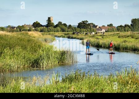 Paddelboarder auf dem River Parrett und der Muchelney Abbey, Langport, Somerset, England, Vereinigtes Königreich, Europa Stockfoto