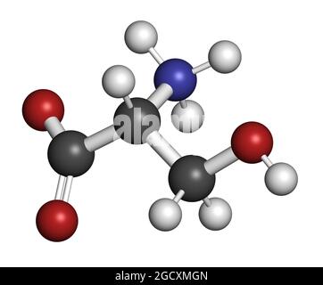 D-Serin-Aminosäuremolekül. Enantiomer von L-Serin. 3D-Rendering. Stockfoto