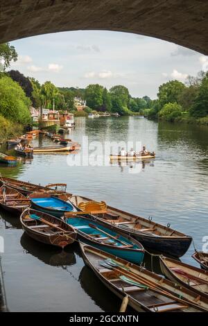 Ruderboote zur Miete auf der Themse unterhalb der Richmond Bridge, Richmond, Surrey, England, Vereinigtes Königreich, Europa Stockfoto