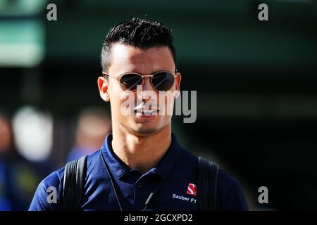 Pascal Wehrlein (GER) sauber F1 Team. Großer Preis von Ungarn, Freitag, 28. Juli 2017. Budapest, Ungarn. Stockfoto