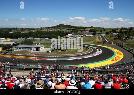 Marcus Ericsson (SWE) sauber C36. Großer Preis von Ungarn, Samstag, 29. Juli 2017. Budapest, Ungarn. Stockfoto