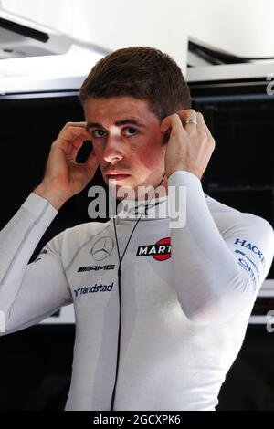 Paul di Resta (GBR) Williams Reserve Driver. Großer Preis von Ungarn, Samstag, 29. Juli 2017. Budapest, Ungarn. Stockfoto