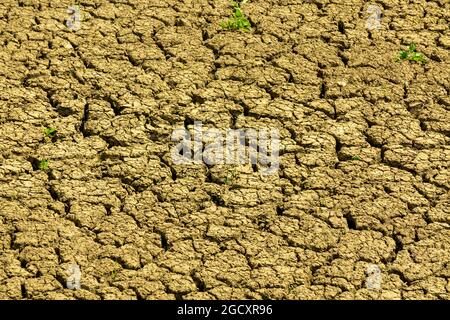 Nahaufnahme von zerbrochener Erde und ausgetrocknetem Schlamm auf einem Feld während einer Dürre. Stockfoto