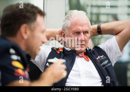 Dr. Helmut Marko (AUT) Red Bull Motorsport Consultant mit Christian Horner (GBR) Red Bull Racing Teamchef. Großer Preis von Mexiko, Samstag, 28. Oktober 2017. Mexiko-Stadt, Mexiko. Stockfoto