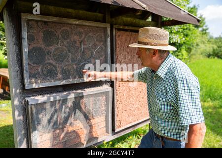 23. Juli 2021, Bayern, Hausen: Gelernter Steinmetz Adam Zentgraf inspiziert eine Wohnung für Wildbienen. Zentgraf begleitet die Besucher durch den Obstgarten-Lehrpfad in Hausen, der Modellgemeinde des UNESCO-Biosphärenreservats Rhön. Foto: Nicolas Armer/dpa Stockfoto