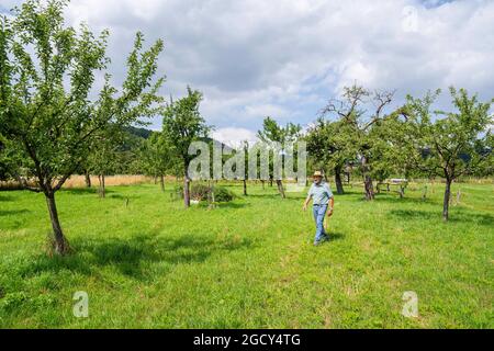 23. Juli 2021, Bayern, Hausen: Gelernter Steinmetz Adam Zentgraf spaziert zwischen Bäumen auf dem Obstgarten-Naturpfad. Zentgraf begleitet die Besucher durch den Obstgarten-Lehrpfad in Hausen, der Modellgemeinde des UNESCO-Biosphärenreservats. Foto: Nicolas Armer/dpa Stockfoto