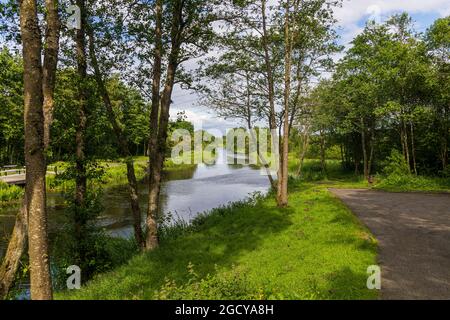 Forth und Clyde Canal in der Nähe von Auchinstarry. Der Forth and Clyde Canal ist ein Kanal, der 1790 eröffnet wurde und das Zentrum Schottlands durchquert. Stockfoto