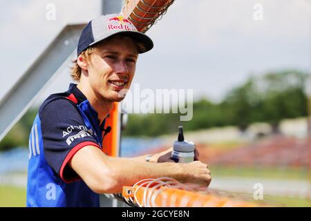 Brendon Hartley (NZL) Scuderia Toro Rosso. Formel-1-Tests. Mittwoch, 1. August 2018. Budapest, Ungarn. Stockfoto