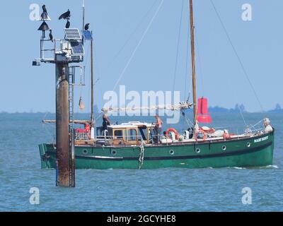 Sheerness, Kent, Großbritannien. August 2021. UK Wetter: Ein sonniger Nachmittag in Sheerness, Kent. Kredit: James Bell/Alamy Live Nachrichten Stockfoto