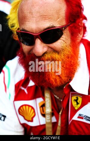 Ferrari-Fan. Großer Preis von Australien, Samstag, 16. März 2019. Albert Park, Melbourne, Australien. Stockfoto