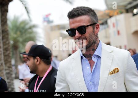 David Beckham (GBR) ehemaliger Fußballspieler. Großer Preis von Bahrain, Sonntag, 31. März 2019. Sakhir, Bahrain. Stockfoto