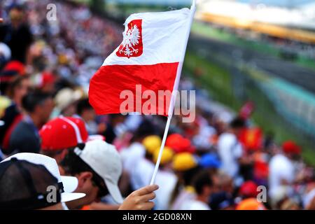 Circuit Atmosphere Fans in der Tribüne und eine polnische Flagge. Großer Preis von Ungarn, Samstag, 3. August 2019. Budapest, Ungarn. Stockfoto