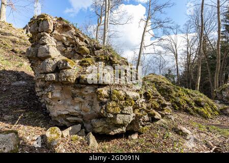 Bodendenkmal Erichsburg Burgen und Schlösser im Harz Stockfoto