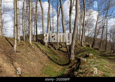 Bodendenkmal Erichsburg Burgen und Schlösser im Harz Stockfoto