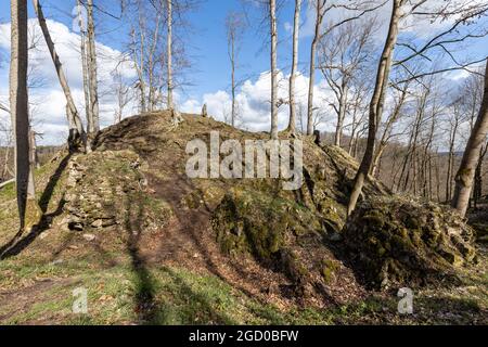 Bodendenkmal Erichsburg Burgen und Schlösser im Harz Stockfoto