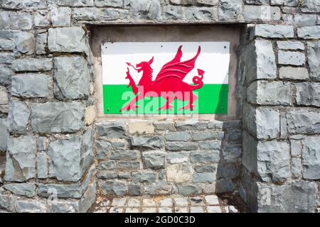 Das Welsh Dragon Symbol auf einer grauen Schieferwand in Wales gesetzt Stockfoto