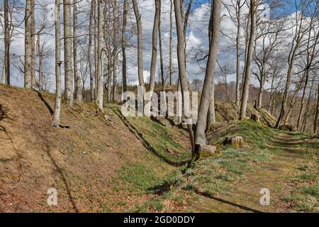 Bodendenkmal Erichsburg Burgen und Schlösser im Harz Stockfoto