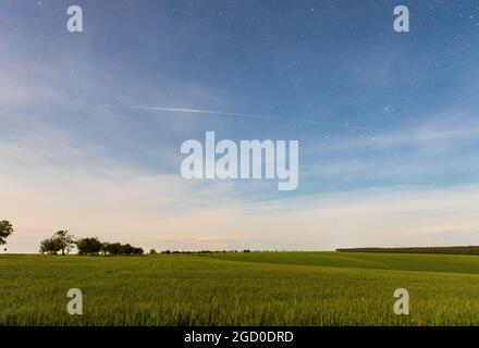 Nachthimmel mit den Spuren von Starlink in offener Landschaft Stockfoto