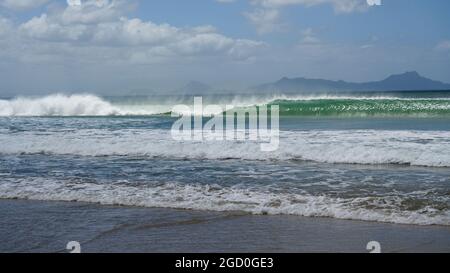 Surfen am Strand, Langs Beach, Waipu, Bream Bay, Far North District, Nordinsel, Neuseeland Stockfoto