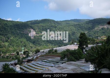 Eine Reihe von Gewächshäusern mit Myriaden kultivierter Blumen auf Terrassen in der abgelegenen Hochlandregion im Norden Thailands Stockfoto