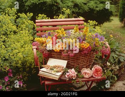 botanik, Blumen in einem Korb auf einem Stuhl im Garten, Rosen, Erysimum, Lupine, Geranium, ADDITIONAL-RIGHTS-CLEARANCE-INFO-NOT-AVAILABLE Stockfoto