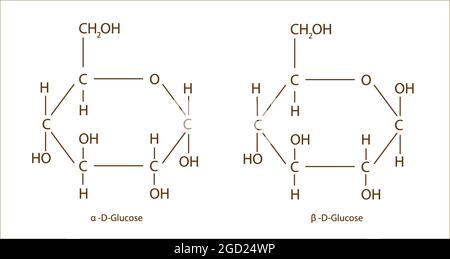 Chemische Struktur von Alpha d Glucose und Beta d Glucose, Chemische Formel von α-d Glucose und β-d Glucose-Verbindung, d-Glucose-Anatomie Stock Vektor