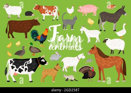 Bauernhof mit verschiedenen Haustieren isoliert Vektor-Illustration Stock Vektor
