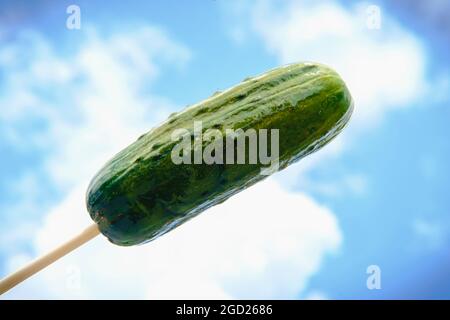 Essen große halb saure Dill Pickle auf Stick Stockfoto