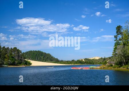 Cleawox Lake im Honeyman State Park an der zentralen Küste von Oregon. Stockfoto