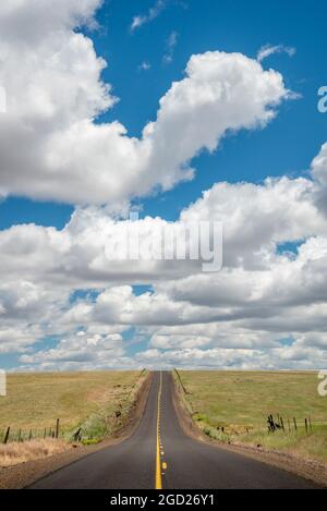 Highway 206 zwischen Condon und Hepner, Oregon. Stockfoto