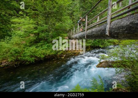 Wanderer auf der Brücke über den River auf McKenzie River National Recreation Trail, Willamette National Forest, Oregon. Stockfoto