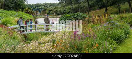 Ein Panoramabild von Besuchern, die auf der dekorativen Fußgängerbrücke über den Mallard Pond in den üppigen subtropischen Küstengärten von Trebah Gardens in Cornwall stehen. Stockfoto