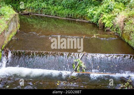 Kleiner Fluss, der durch Truro, Cornwall, großbritannien fließt Stockfoto