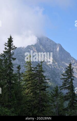 Hoher Göll Berg teilweise mit Wolken und Nadelbaumspitzen bedeckt, Berchtesgaden, Bayern, Deutschland Stockfoto