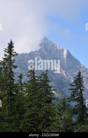 Hoher Göll Berg teilweise mit Wolken und Nadelbaumspitzen bedeckt, Berchtesgaden, Bayern, Deutschland Stockfoto