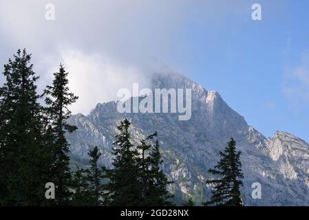 Hoher Göll Berg teilweise mit Wolken und Nadelbaumspitzen bedeckt, Berchtesgaden, Bayern, Deutschland Stockfoto