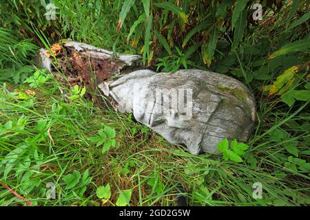 Frank Bruce Sculpture Trail, Feshie Bridge, Lower Glen Feshie, Aviemore, Highlands, Schottland, Großbritannien, Europa Stockfoto