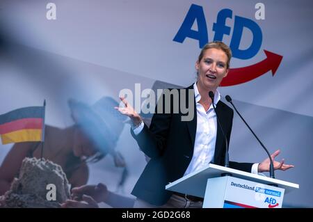 Schwerin, Deutschland. August 2021. Alice Weidel, die Spitzenkandidatin der AfD für die Bundestagswahl, spricht zu Beginn der Wahlkampftour der AfD. Die Partei kämpft mit dem Slogan "Deutschland. Aber normal.“ in den Wahlkampf. Quelle: Jens Büttner/dpa-Zentralbild/dpa/Alamy Live News Stockfoto