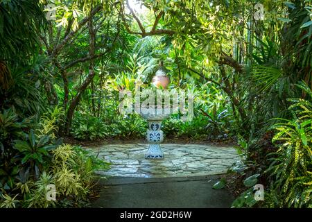 Pflanztopf in der Mitte der asiatischen Sektion im NAPEs Botanical Garden, Naples, Florida, USA Stockfoto