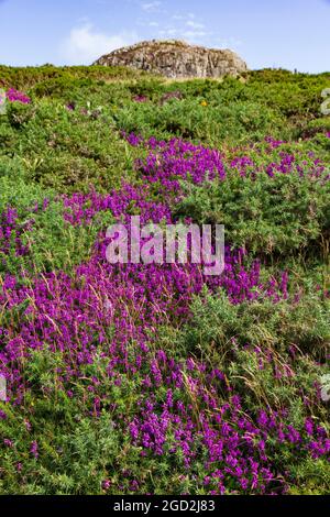 Carn Penberry Pembrokeshire Wales Stockfoto