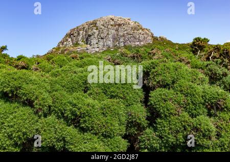 Carn Penberry Pembrokeshire Wales Stockfoto