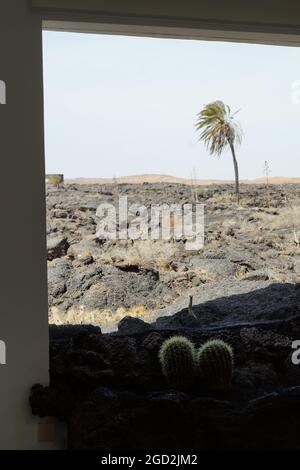 Fundación César Manrique in Tahiche, Lanzarote, Kanarische Inseln, Spanien Stockfoto