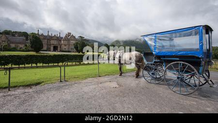 Jaunting Autos im Muckross House Killarney Stockfoto