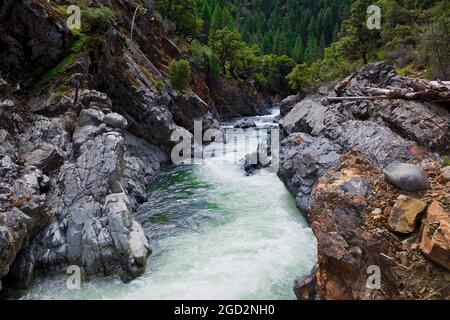 Das Lower Deer Creek Falls Fish Passage Improvement Project, das sich auf dem Grundstück des Northern California Regional Land Trust in Tehama County befindet, wurde im Dezember 2017 fertiggestellt. Das Projekt beinhaltete das Abstellen des Wassers einer bestehenden Fischleiter und den Abbruch einer älteren, ineffektiven Struktur, die seit den 1940er Jahren existiert. 4. April 2018 Stockfoto