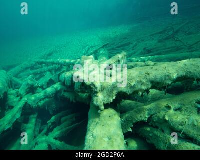 Baumstämme unter Wasser überwuchert mit Süßwasseralgen, gute Sicht in einem Bergsee, Tirol, Österreich Stockfoto