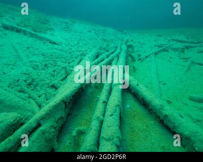 Baumstämme unter Wasser überwuchert mit Süßwasseralgen, gute Sicht in einem Bergsee, Tirol, Österreich Stockfoto