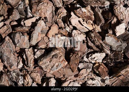 Die Textur von zerdrückter Baumrinde auf einem Nahaufnahme-Hintergrund. Zerkleinerte braune Baumrinde zur Dekoration.Mulchen des Bodens. Dekorative Gartenarbeit qualitativ hochwertiges Foto Stockfoto