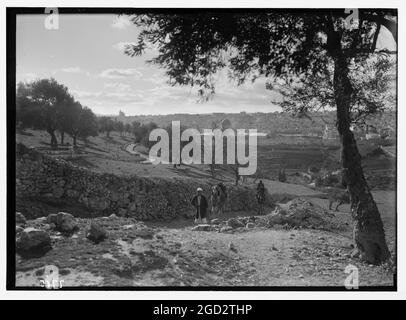 Jerusalem von den Hängen des Öls (Mann und Kamel kommen den Hügel hinauf) ca. zwischen 1934 und 1939 Stockfoto